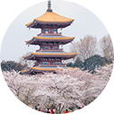 yp街机·电子游戏(中国)最新官网