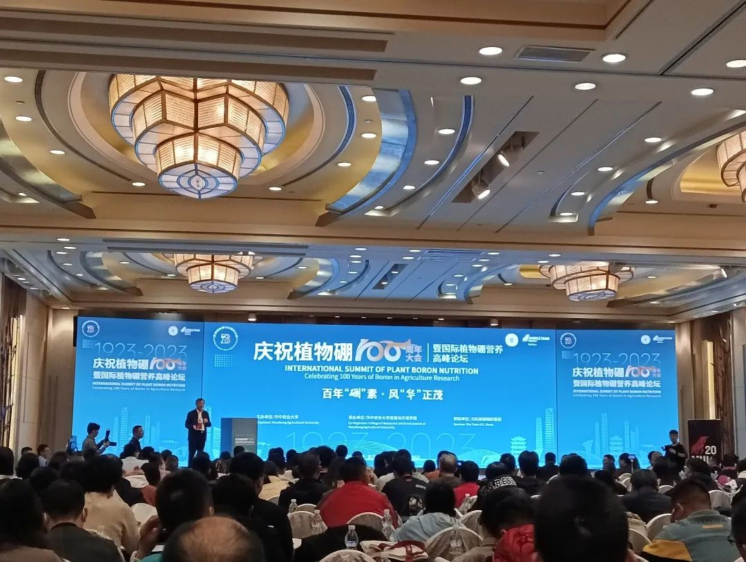 yp街机·电子游戏(中国)最新官网