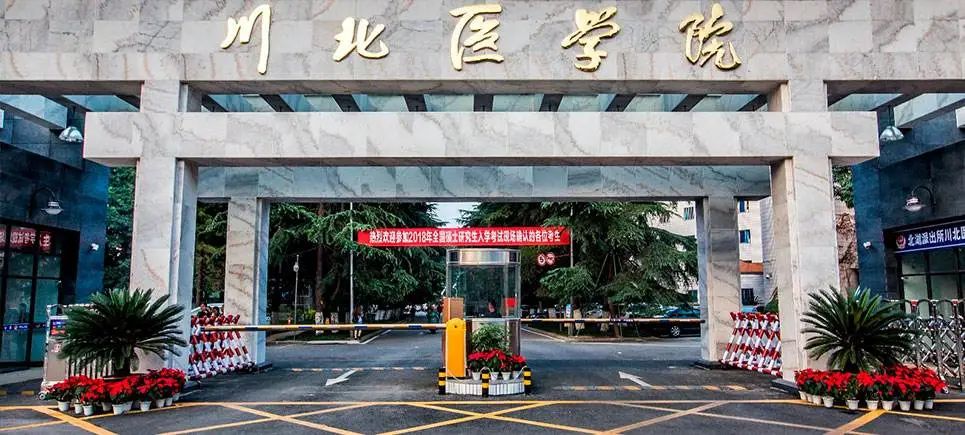 yp街机·电子游戏(中国)最新官网