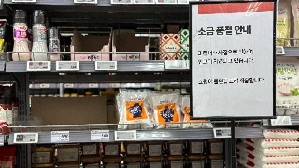 yp街机·电子游戏(中国)最新官网