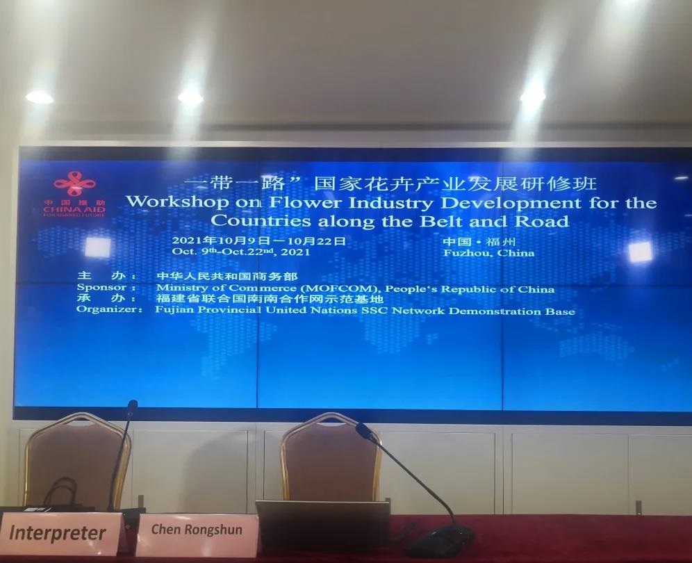 yp街机·电子游戏(中国)最新官网